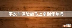 平安车保险能马上拿到保单吗