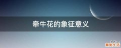 牵牛花的象征意义