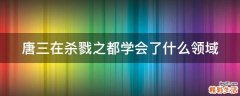 唐三在杀戮之都学会了什么领域