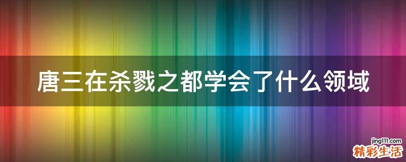 唐三在杀戮之都学会了什么领域