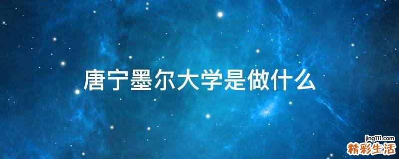 唐宁墨尔大学是做什么
