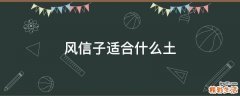 风信子适合什么土