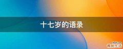 十七岁的语录