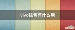 vivo钱包有什么用