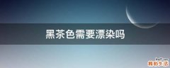 黑茶色需要漂染吗
