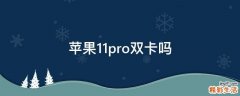 苹果11pro双卡吗