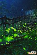 静脉曲张手术后多久跑步