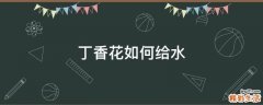 丁香花如何给水