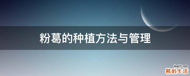 粉葛的种植方法与管理
