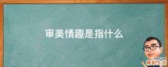 审美情趣是指什么