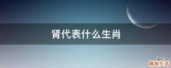 肾代表什么生肖