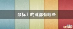 鼠标上的键都有哪些