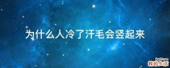 为什么人冷了汗毛会竖起来