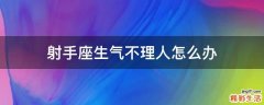 射手座生气不理人怎么办
