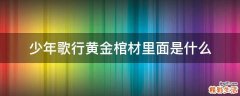 少年歌行黄金棺材里面是什么