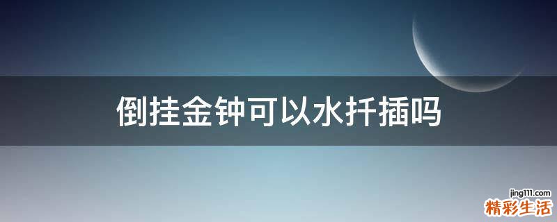倒挂金钟可以水扦插吗