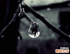 屠呦呦研发的青蒿素到底是什么东西