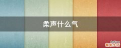 柔声什么气