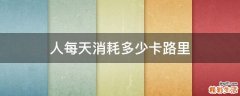 人每天消耗多少卡路里
