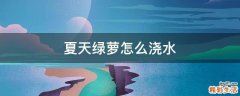 夏天绿萝怎么浇水