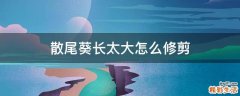 散尾葵长太大怎么修剪