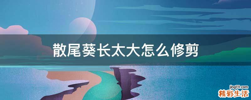 散尾葵长太大怎么修剪