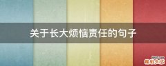 关于长大烦恼责任的句子