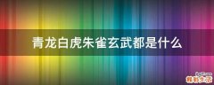 青龙白虎朱雀玄武都是什么