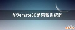 华为mate30是鸿蒙系统吗