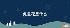 免息花是什么
