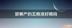 邯郸产的五粮液好喝吗