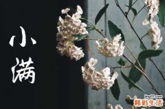 2023年小满是几月几号农历