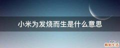 小米为发烧而生是什么意思