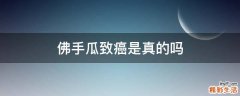 佛手瓜致癌是真的吗