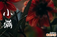 2023年小满是什么季节是几月几日