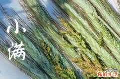 2023年小满是哪天