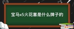 宝马x5火花塞是什么牌子的