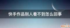 快手作品别人看不到怎么回事