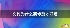 文竹为什么要修剪才好看