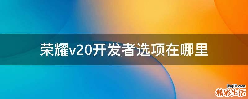 荣耀v20开发者选项在哪里