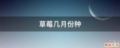 草莓几月份种