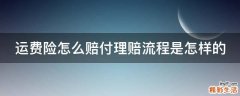 运费险怎么赔付理赔流程是怎样的