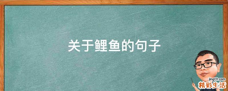 关于鲤鱼的句子