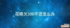 花呗欠300不还怎么办