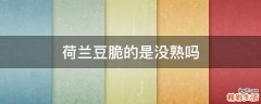 荷兰豆脆的是没熟吗