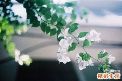 2 上班族不宜睡眠过多
