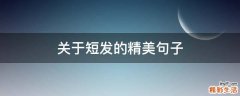 关于短发的精美句子