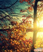 糖尿病病人能吃甜食吗