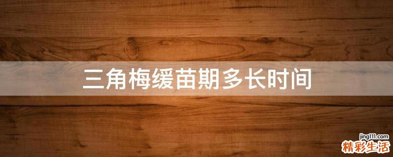 三角梅缓苗期多长时间