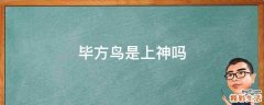 毕方鸟是上神吗